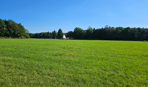 Single location Useful area 735sqm 26000sqm Forest Meadow 2 families Residential house Commercial building self-sufficient