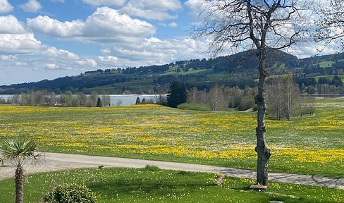 einzigartige Geschäftsräume mit Lager mit See- und Bergsicht und Business-Fengshui