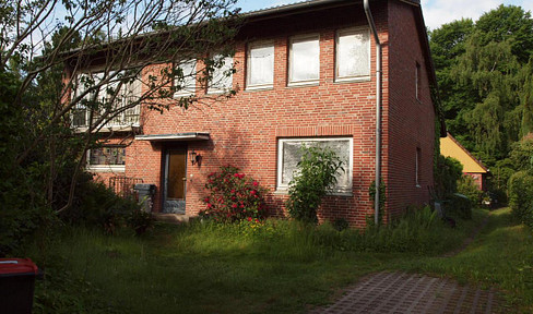 Solid architect's house with pent roof on the outskirts of the city from private owner