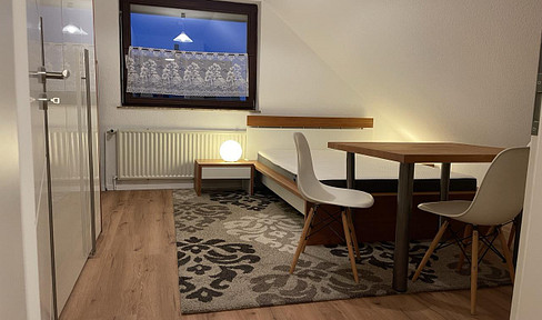 High-quality furnished 1-room apartment in Bockfeld with pantry kitchen