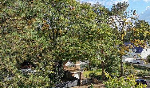 Beautiful views at the foot of the Harburg mountains