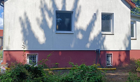 Detached house renovation project, garden and pool