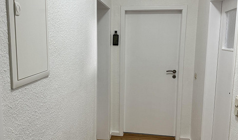 Recently renovated 3-room apartment. Value for money with Kitchen, Available from Aug.