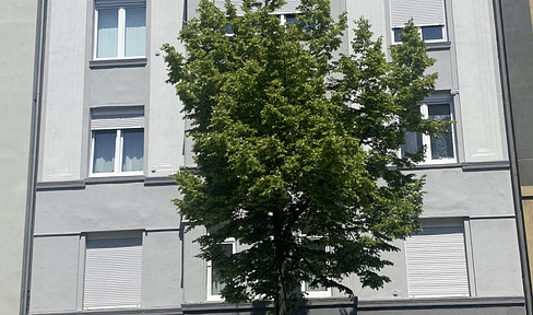 Renovated and bright apartment for janitor close to the city center