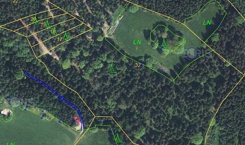 Wald und Naturjuwel