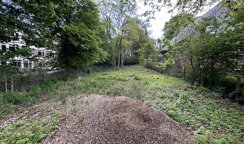 Urban woodland plot for nature lovers