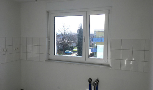 Well-kept apartment in Neuenburg am Rhein