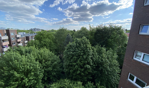 Renovated beautiful 3-room apartment with loggia/elevator