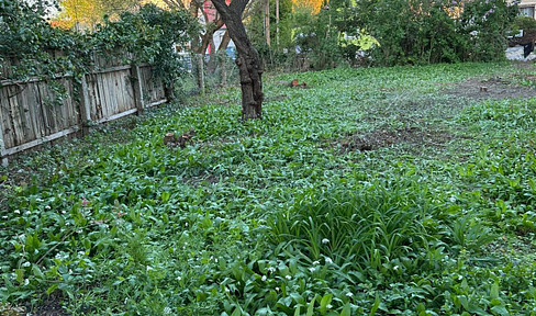 Building plot 1220 Essling without old stock from PRIVAT