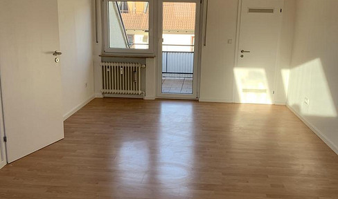 Spacious 1-room apartment with roof terrace in a quiet location in Bonlanden