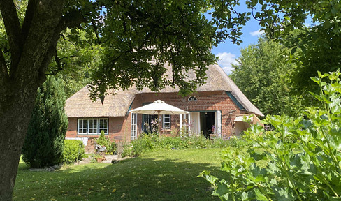 Thatched roof house, dream house by the sea