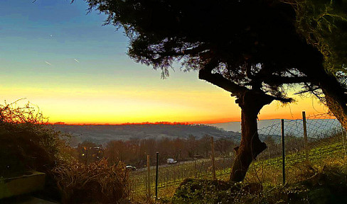 Wohnen Blick zum Naturschutzgebiet-Ingelheim, Mainz-Wiesbaden