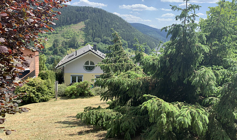 Detached house with large garage, south-facing slope Ilmenau