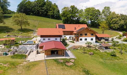 Exclusive property in a secluded location - for keeping horses or other animals and commercial use