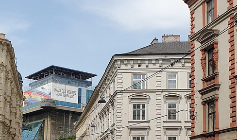 **NEU** Bestlage mitten im Sechsten: hochwertig sanierte Altbauwohnung, direkt vom Eigentümer