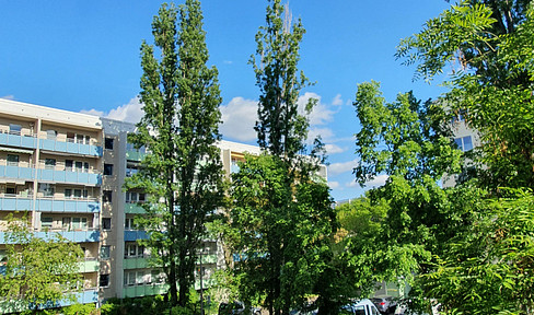 3 room apartment 2nd floor with balcony