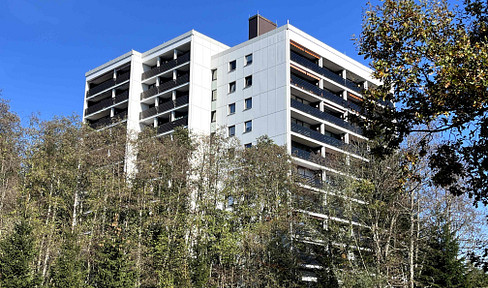 Cozy 1-room apartment with balcony fully equipped and freshly renovated