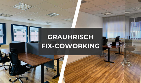 🏢 Coworking at the Löhrcenter in Koblenz's old town - fixed desk or individual office