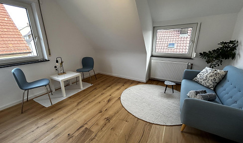 Geschmackvolle 2-Raum-DG-Wohnung mit luxuriöser Innenausstattung in Heilbronn