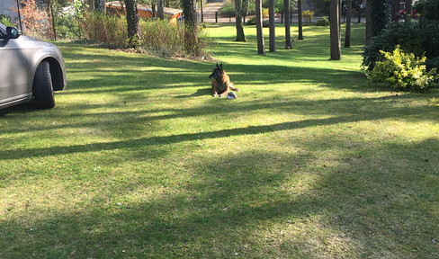 Building plot in Schönwalde-Siedlung
