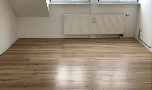 renovated attic apartment Nuremberg Südstadt