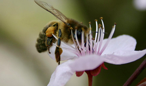 Terrassentraum! Wunderschöne, lichtdurchflutete Wohnung mit großzügiger Terrasse und Einzelgarage!