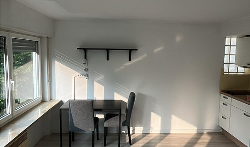 Furnished 1-room apartment in Stuttgart-Untertürkheim - ideal for students or commuters