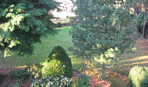 * Fantastic living with a view of fields *