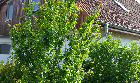 Urban comfort meets natural idyll - semi-detached house in a top location