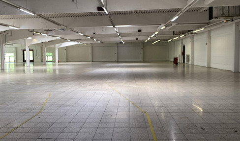 Warehouse/production hall with optimal accessibility (B428/B65 intersection)