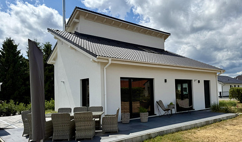 Luxurious house with gallery