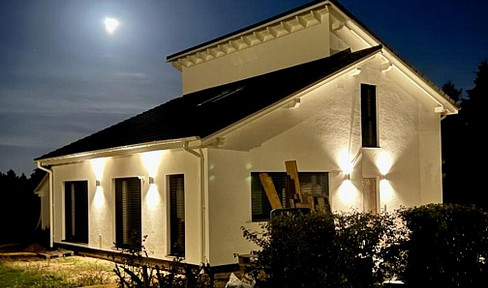 Luxurious house with gallery