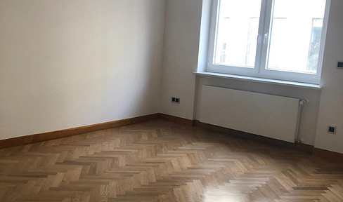 completely renovated one-room apartment in the heart of Mannheim