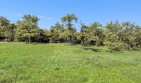 Fantastic building plot for a detached house in Haueneberstein