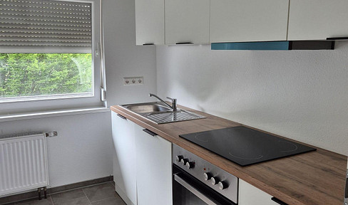 First occupancy after renovation: Beautiful 2-room apartment with balcony and fitted kitchen