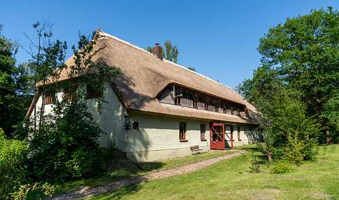 Thatched country house, partially renovated, located by the lake, including a holiday apartment, stables, pastures, and woodland.