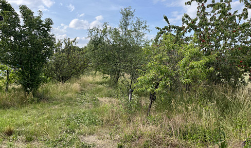 Für Handwerker: 1.800 m² Freizeit- & Landwirtschafts­grundstück mit Werkstatt