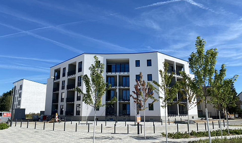 Stylish, as-new 2.5-room apartment with upscale interior and fitted kitchen in Offenbach am Main