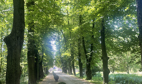 Do you love the unusual?