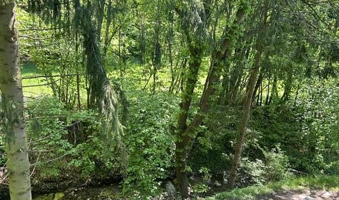 Living by the stream!!!