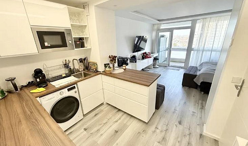 Fully furnished and high-quality renovated 1-room apartment
