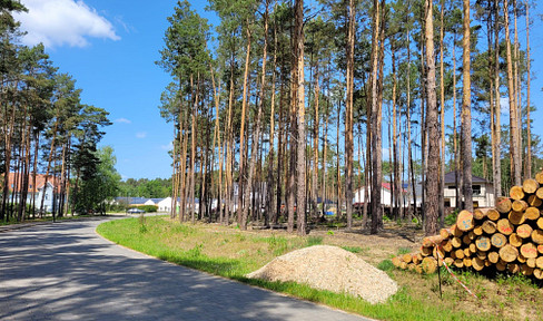 Provisionsfrei & bauträgerfrei, ideal für Einfamilienhaus oder kleines Doppelhaus in Borkwalde