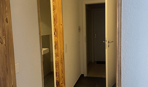 Newly renovated apartment