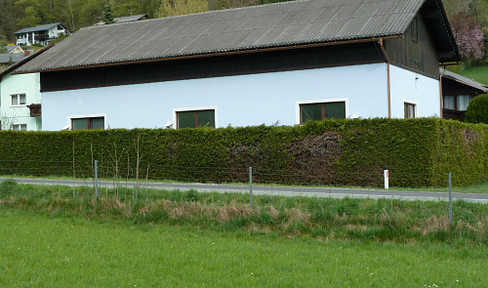 Warehouse, garage, 355m²