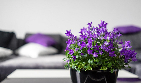 YOUR COZY HOME ! Spacious 3-room-apartment, balcony, mountain view, Chiemsee & Alps
