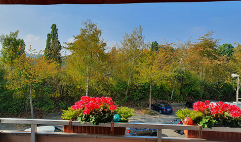 Schöne helle 3-ZKBB/ wunderbare Lage am Ahnepark/ Blick ins Grüne/ EBK/ Hausordnung inkl.