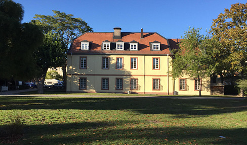 Historically significant property with character - flexible use as a residential and commercial building