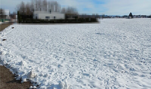 Baugrundstück ohne Bauzwang in ruhiger Lage