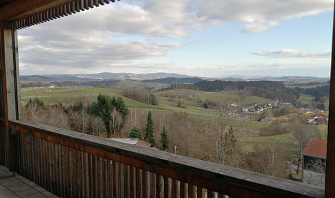Charming 2-room apartment with sunny balcony and panoramic view