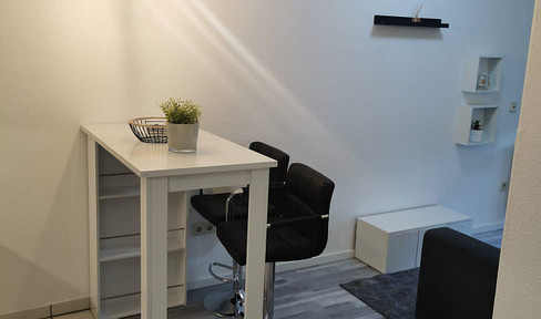 Chic furnished apartment in the center of Vaihingen an der Enz
